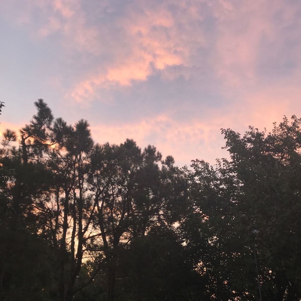 Meet your Posher, Adela